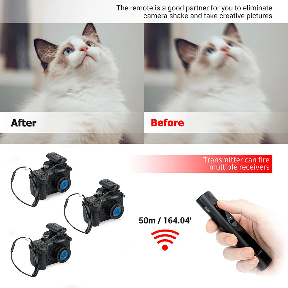 Télécommande, Déclencheur sans fil pour Panasonic FZ2000 FZ1000 FZ 300 FZ200 FZ150 FZ100 FZ50S et Lumix S9 G100D