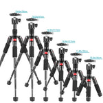 Trípode de càmera mini NEEWER TP-AAM521 de 50 cm amb capçal esfèric d'aliatge d'alumini de 360° i placa de fixació ràpida tipus Arca de 1/4"