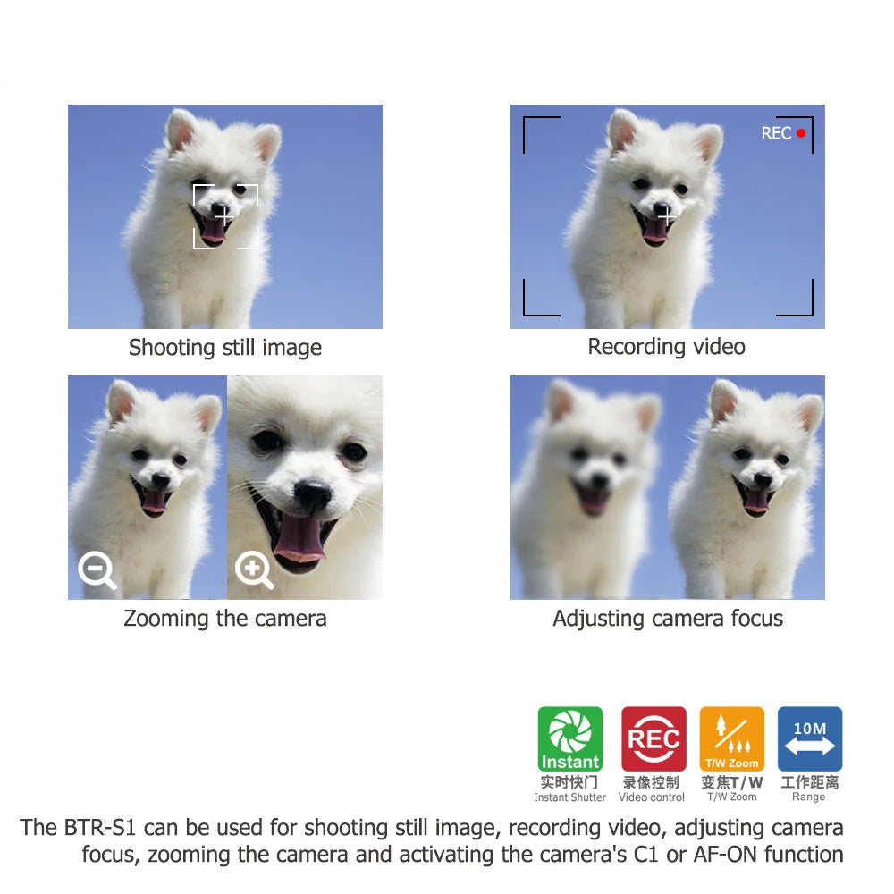 Télécommande JJC RMT-P1BT Bluetooth pour Sony A7R V A7IV A7III A7 IV A7 III A7CR A6400 A7CR ZV-E1 ZV-E10 ZV-1 FX30