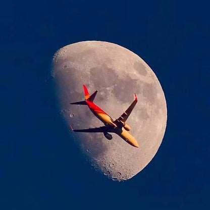 Objectif Lightdow 420-800mm F8.3 téléobjectif manuel Zoom avec convertisseur 2X pour appareils photo Canon Nikon Sony Pentax Fujifilm