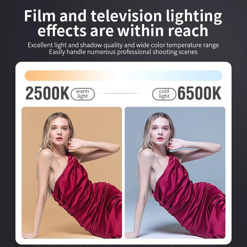 Eclairage LED ZU80/ZU60 Photo Studio lumière COB bicolore 2500-8500K CRI≥95 TLCI≥97 avec diffuseur LED lumières vidéo éclairage de remplissage