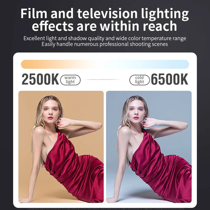 Eclairage LED ZU80/ZU60 Photo Studio lumière COB bicolore 2500-8500K CRI≥95 TLCI≥97 avec diffuseur LED lumières vidéo éclairage de remplissage