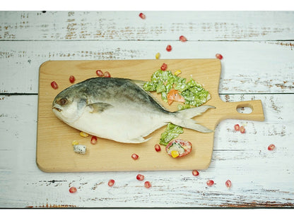 Fond de studio 56x90cm pour photo d'objet