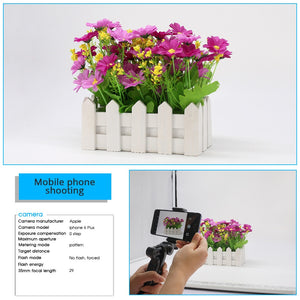 Lightbox Capsaver portable 40cm 60cm 80cm + 3 fonds