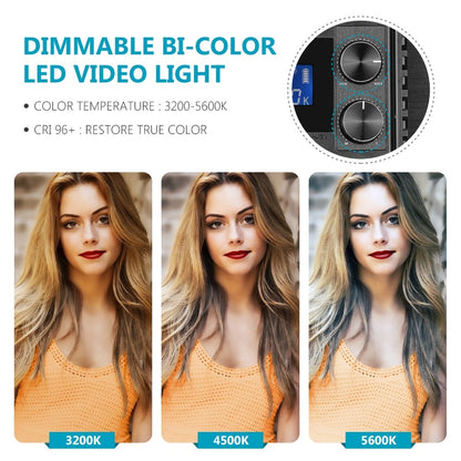 Panneau LED Neewer 660 LED bicolore avec écran LCD pour studio, vidéo YouTube