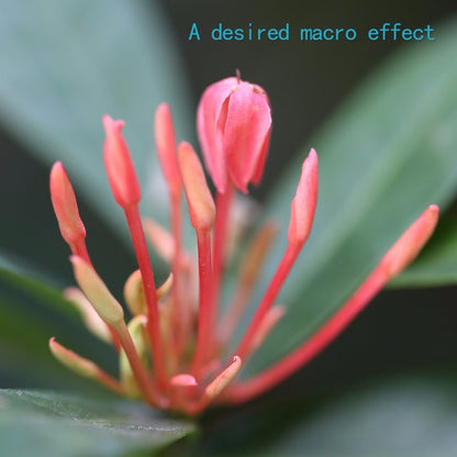 Bague d'adaptation macro AF SHOOT pour Canon 600D 800D 5d3 5d4 EOS EF EF-S 6D ...