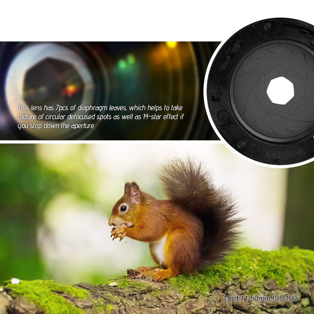 Objectif YONGNUO YN50MM 50MM F1.4N AF pour Nikon