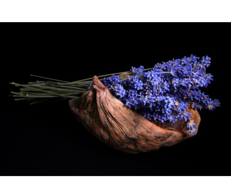 Fond de studio PVC imperméable à l'eau haute résistance