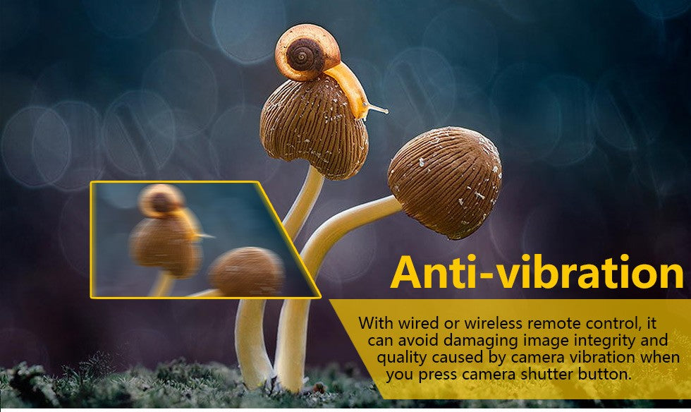 Déclencheur à distance Pixel TW-283 S2 pour sony A7 III A7R III A6500...