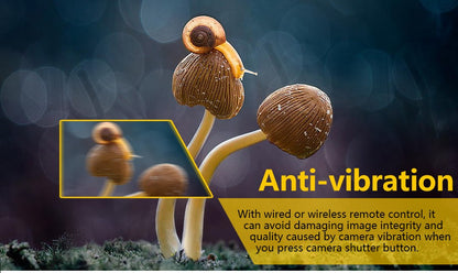 Déclencheur à distance Pixel TW-283 S2 pour sony A7 III A7R III A6500...