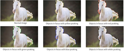 Moniteur FEELWORLD F6 PLUS 4K 5.5" 3D LUT FHD 1920x1080 écran tactile pour reflex, caméra