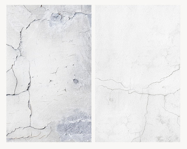 Fond de studio TL 58X86cm 2 faces imprimées, plastique imperméable à l'eau