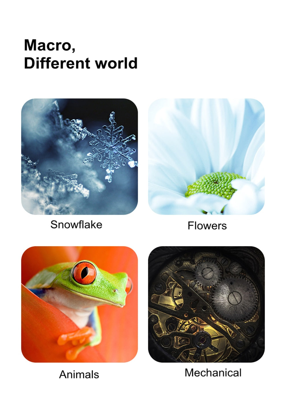 Bague d'adaptation macro Viltrox DG-Z AF pour Nikon Z mount Z6 Z7 Z50