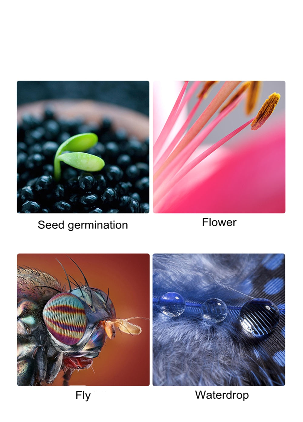 Bague d'adaptation macro Viltrox DG-C AF pour Canon EOS 2000D 850D 77D 5D Mark IV III 7D II 80D 1DS...