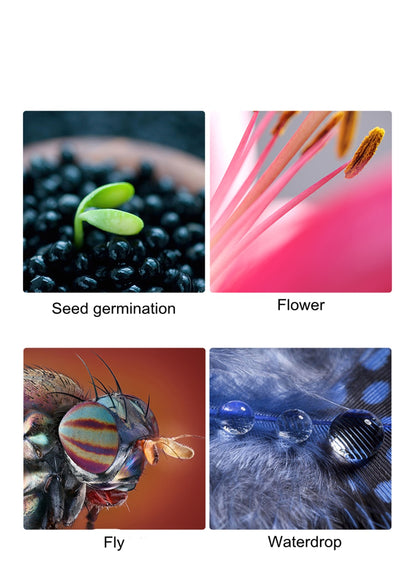 Bague d'adaptation macro Viltrox DG-C AF pour Canon EOS 2000D 850D 77D 5D Mark IV III 7D II 80D 1DS...