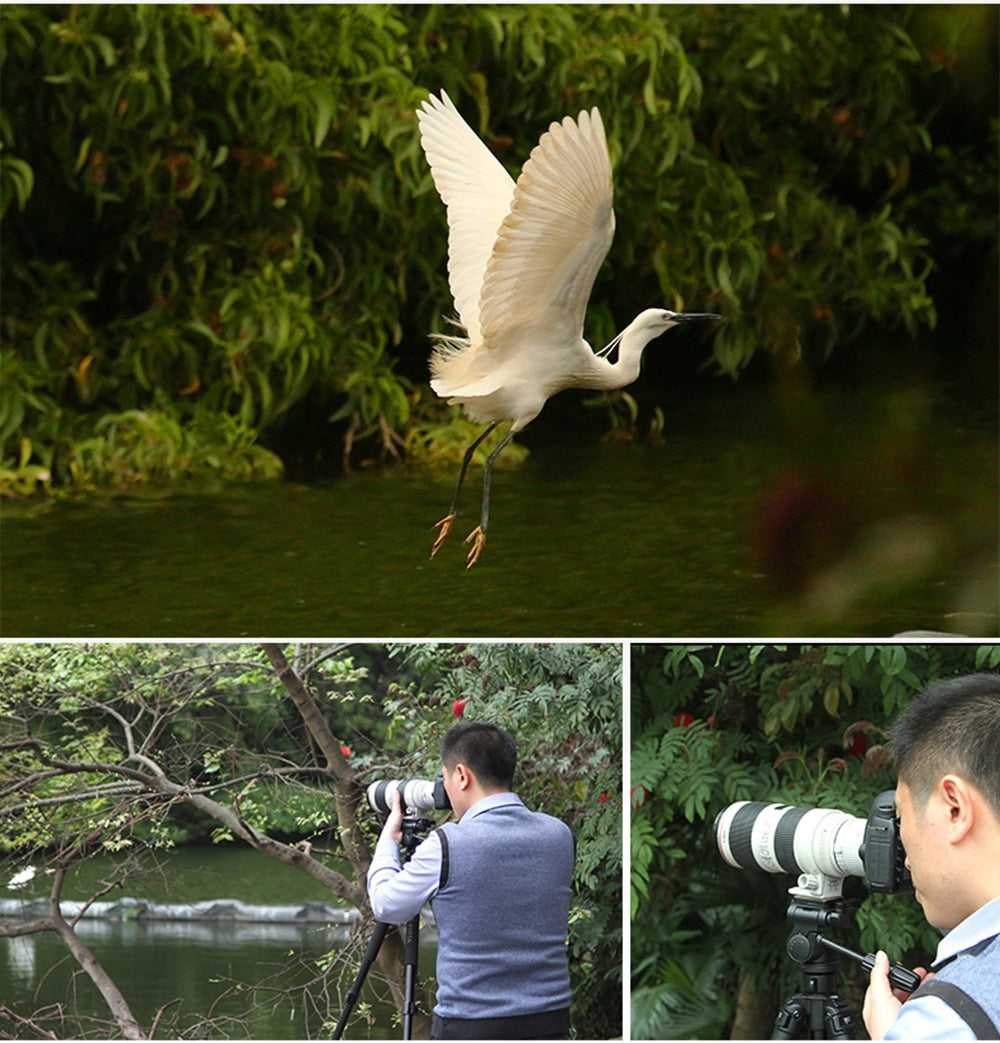 Convertisseur Viltrox C-AF 2X II TELEPLUS Autofocus 2.0X Extender pour Canon EOS EF lens 7DII 5D IV