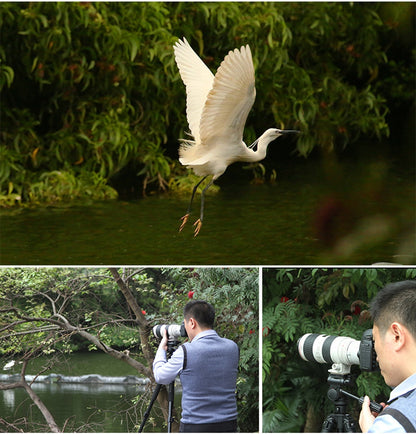 Convertisseur Viltrox C-AF 2X II TELEPLUS Autofocus 2.0X Extender pour Canon EOS EF lens 7DII 5D IV