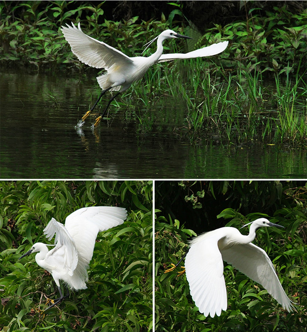 Convertisseur Viltrox C-AF 2X II TELEPLUS Autofocus 2.0X Extender pour Canon EOS EF lens 7DII 5D IV