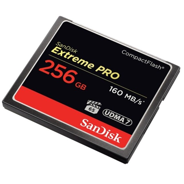 Carte mémoire SanDisk CF toute les capacités 256GB 128GB 64GB 32GB