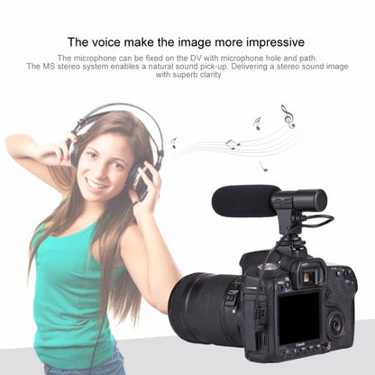 Steadicam universelle Mangrip tout reflex + LED et Micro