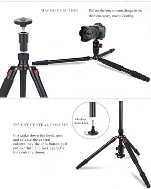 Trépied AOKA  KT284AL 2 en 1 tripod et monopod 14kg max 154cm