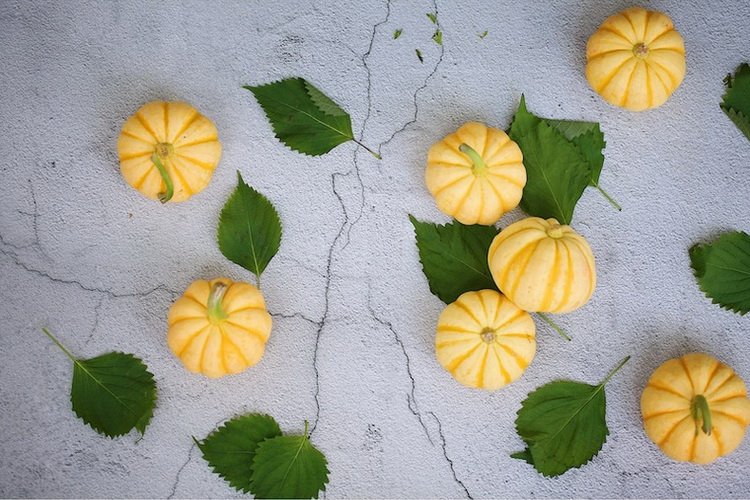Fond de studio en tissu couleur bois fruits et autres modèles 56*90cm