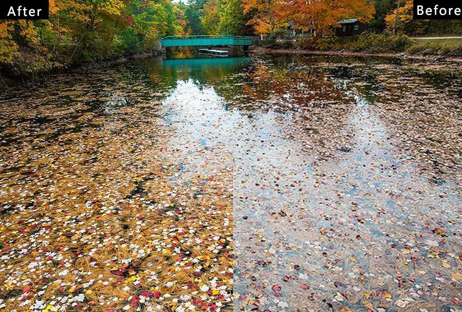 Filtre CIR-CPL Slim HOYA 58mm 67mm 72mm 77mm 82mm 46mm 49mm 52mm 55